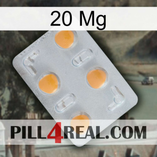 20Mg 24